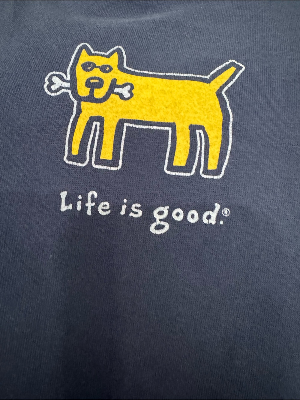 Life Is Good Navy Short Sleeve Tee with Yellow Dog Graphic - Picture 6 of 8